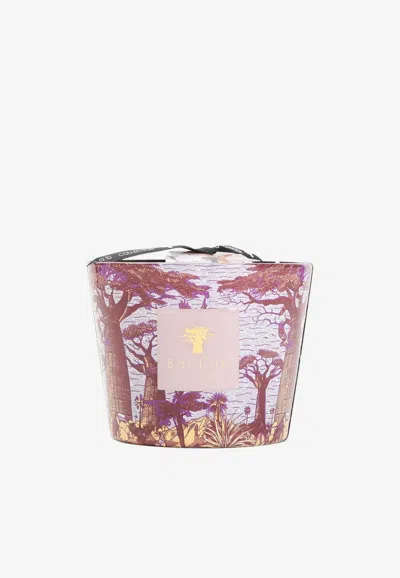 BAOBAB COLLECTION SACRED TREES MASSASSO SCENTED CANDLE - MAX 10