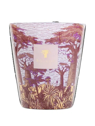Baobab Collection Sacred Trees Massasso Scented Candle In Not Applicable