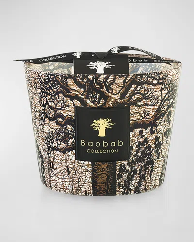 Baobab Collection Sacred Trees Morondo 4-wick Max10 Candle, 47.6 Oz. In Multicolor