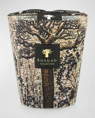 Baobab Collection Sacred Trees Morondo 4-wick Max16 Candle, 77.6 Oz.