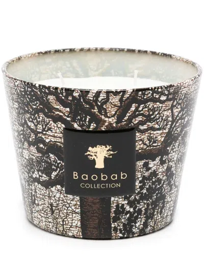Baobab Collection Sacred Trees Morondo Scented Candle