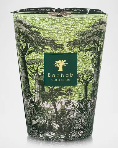 Baobab Collection Sacred Trees Touba 5-wick Max 24 Candle, 5.2 Kg In Green