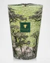 Baobab Collection Sacred Trees Touba 7-wick Max 35 Candle, 10.35 Kg In Green