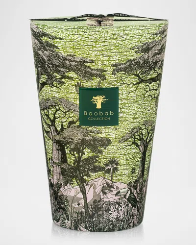 Baobab Collection Sacred Trees Touba 7-wick Max 35 Candle, 10.35 Kg In Green