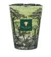 Baobab Collection Sacred Trees Touba Candle In Green