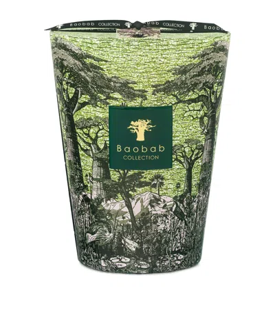 Baobab Collection Sacred Trees Touba Candle In Green