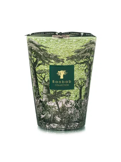 Baobab Collection Sacred Trees Touba Scented Candle In Green
