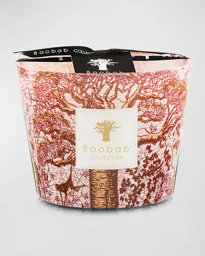 Baobab Collection Sacred Trees Woroba 4-wick Max10 Candle, 40 Oz. In Pink