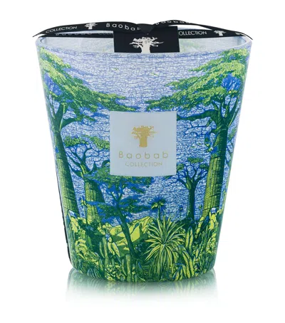 Baobab Collection Sacred Trees Yarani Candle In Blue/green