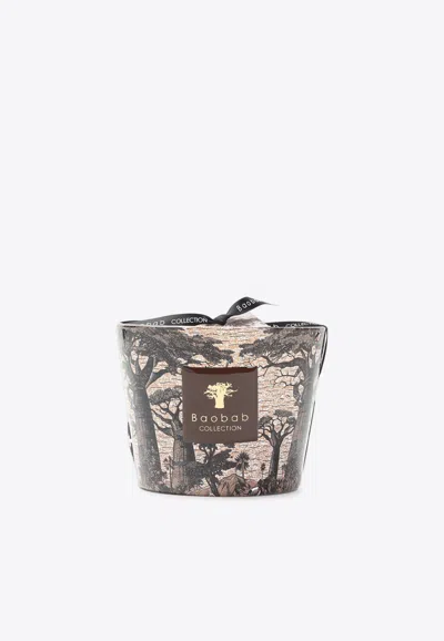 Baobab Collection Sacred Tress Mankono Max10 Candle In Brown
