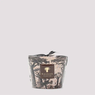 Baobab Collection Sacred Tress Mankono Max10 Candle Unica In Multi
