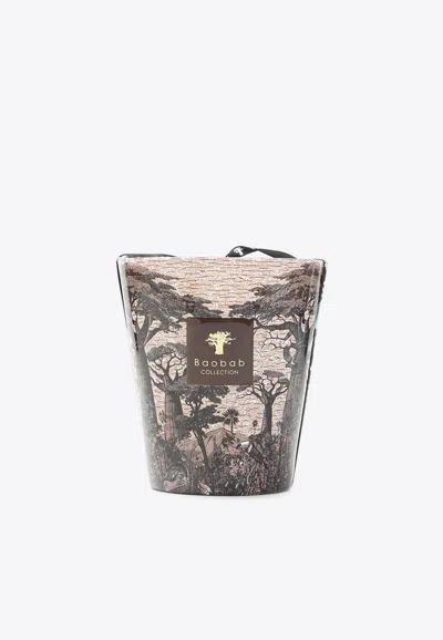 Baobab Collection Sacred Tress Mankono Max16 Candle In Brown