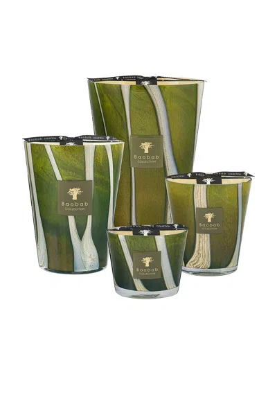Baobab Collection Sherwood Max 10 Candle In Green
