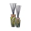 Baobab Collection Totem Woods Sherwood Reed Diffuser In Multi