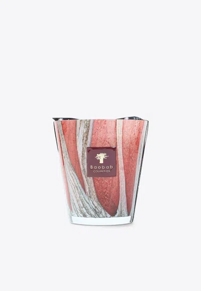 Baobab Collection Woods Risoud Candle Max16 In Multi