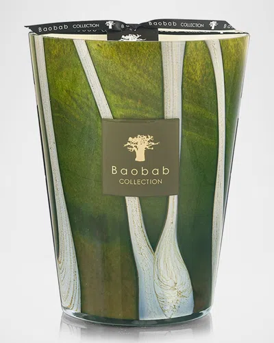 Baobab Collection Woods Sherwood 5-wick Max 24 Candle, 5.2 Kg In Green
