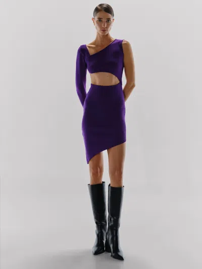 Baobab Cuba Mini Dress In Purple