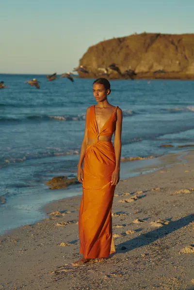 Baobab Dakota Maxi Dress In Orange
