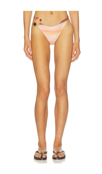Baobab Galo Bikini Bottom In Multi