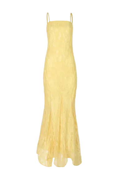 Baobab Junie Maxi Dress In Yellow