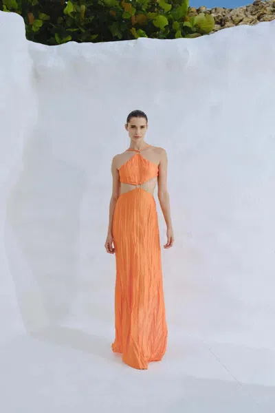 Baobab Kira Maxi Dress In Orange