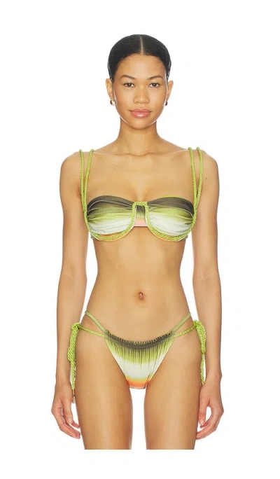 Baobab Lula Bikini Top In Green