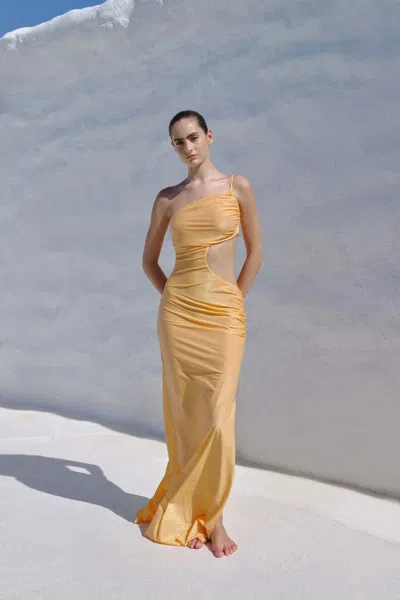 Baobab Luzia Maxi Dress In Multi