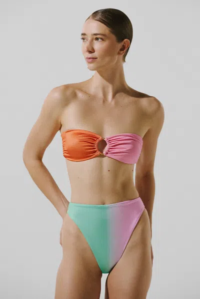 Baobab Nala Bikini Bottom In Multi