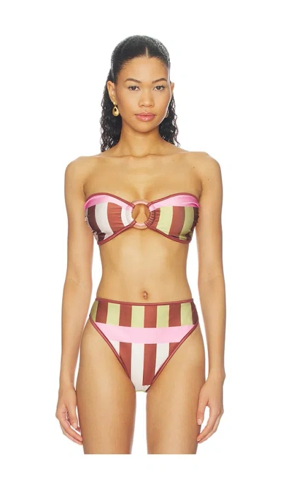 Baobab Kina Striped High-rise Bikini Bottoms In Brown