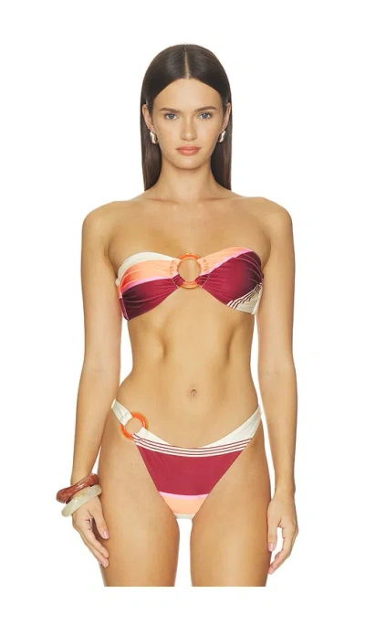 Baobab Nala Bikini Top In Transparent