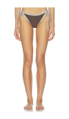 Baobab Rho Bikini Bottom In Brown