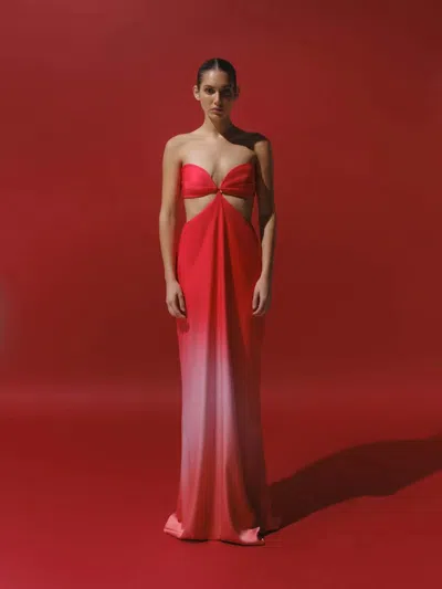 Baobab Riri Maxi Dress