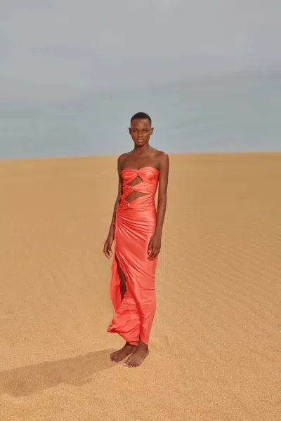 Baobab Vera Maxi Dress In Orange