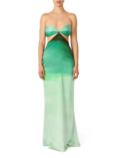 Baobab Women's Islote Riri Ombré Strapless Maxi Dress In Green