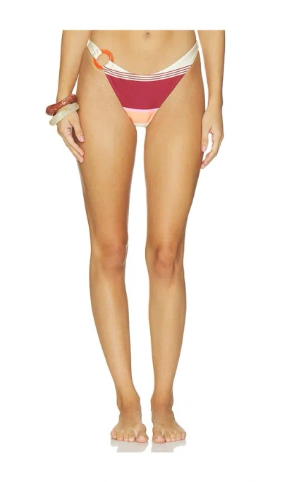 Baobab Zur Bikini Bottom In Multi