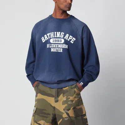 Bape Crew Neck Sweater Raglan Sleeves Detail In Multi