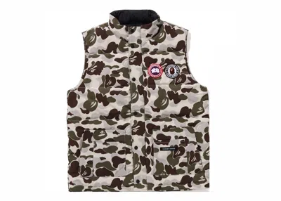 Pre-owned Bape Men's  X Canada Goose Freestyle Vest In Grey