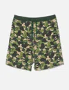 Bape Monogram Shorts In Multi