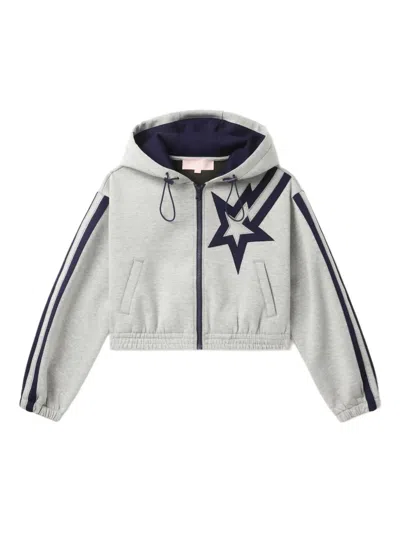 Bapy By *a Bathing Ape® Star-stripe Hooded Jacket In Gray