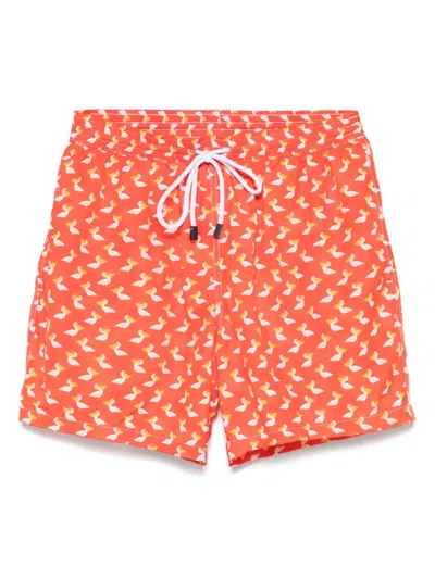 Barba Napoli Duck-print Swim Shorts In 红色