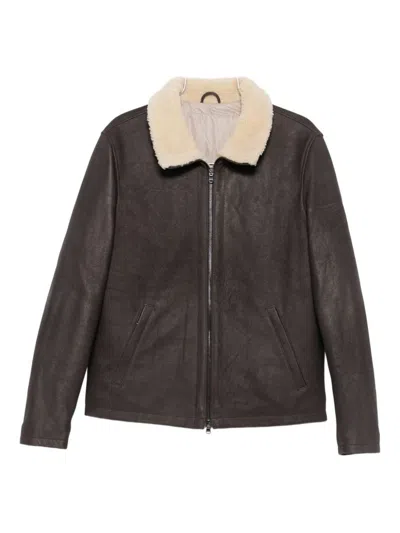 BARBA NAPOLI BARBA 'DENNIS' SHEARLING JACKET