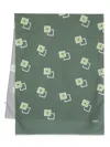 Barba Napoli Graphic-print Frayed Scarf In Green