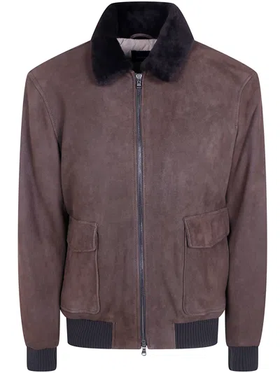 Barba Napoli Jacket Aviator "boston" In Brown