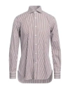 Barba Napoli Man Shirt Cocoa Size 15 Cotton In Brown