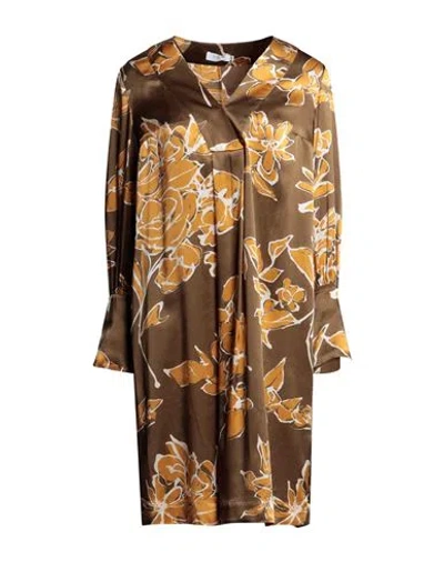 Barba Napoli Woman Midi Dress Khaki Size 8 Silk In Brown