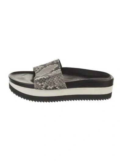 Pre-owned Barbara Bui Snakeskin Animal Print Slides In Gray