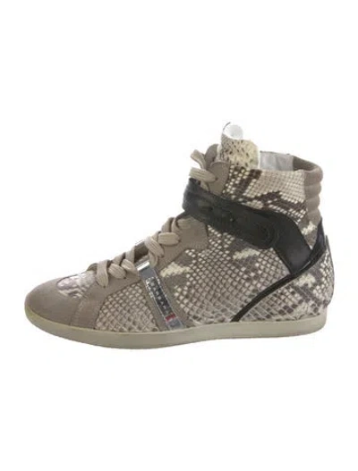 Pre-owned Barbara Bui Snakeskin Animal Print Wedge Sneakers In Neutral