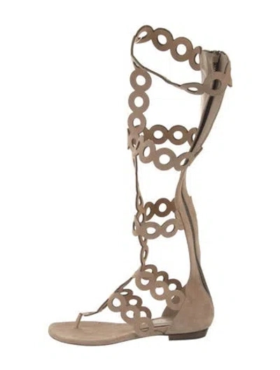 Pre-owned Barbara Bui Suede Gladiator Sandals In Neutral