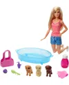 Barbie Doll & Accessories In Multi