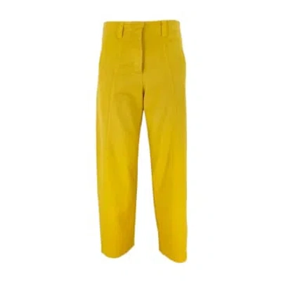 Barbosa Pants 462 Little Tring In Yellow